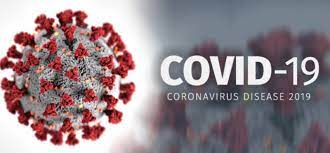 Ternyata Sudah Cukup Lama Kita Telah Hidup Berdampingan Dengan Virus Covid